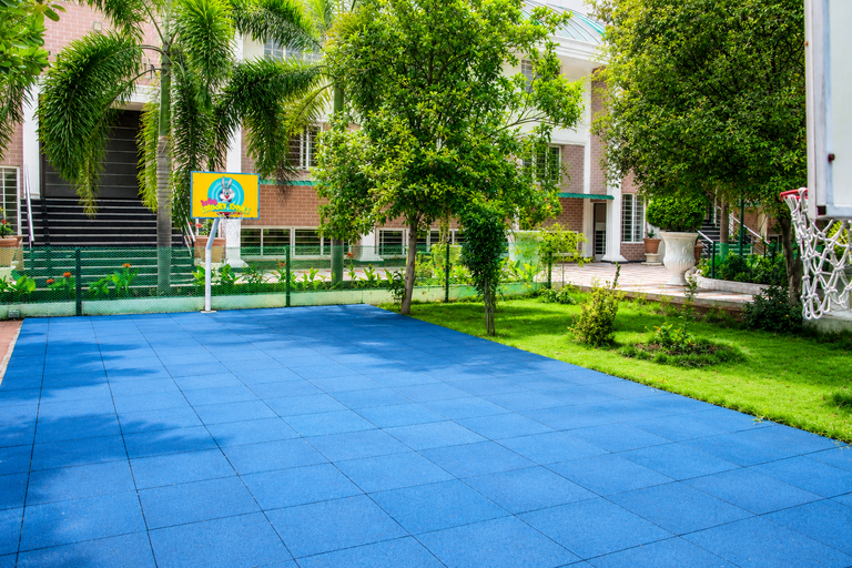 Kindergarten Basketball Court